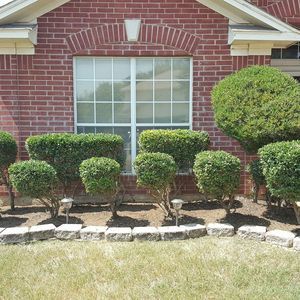 Meet your Posher, Trevor